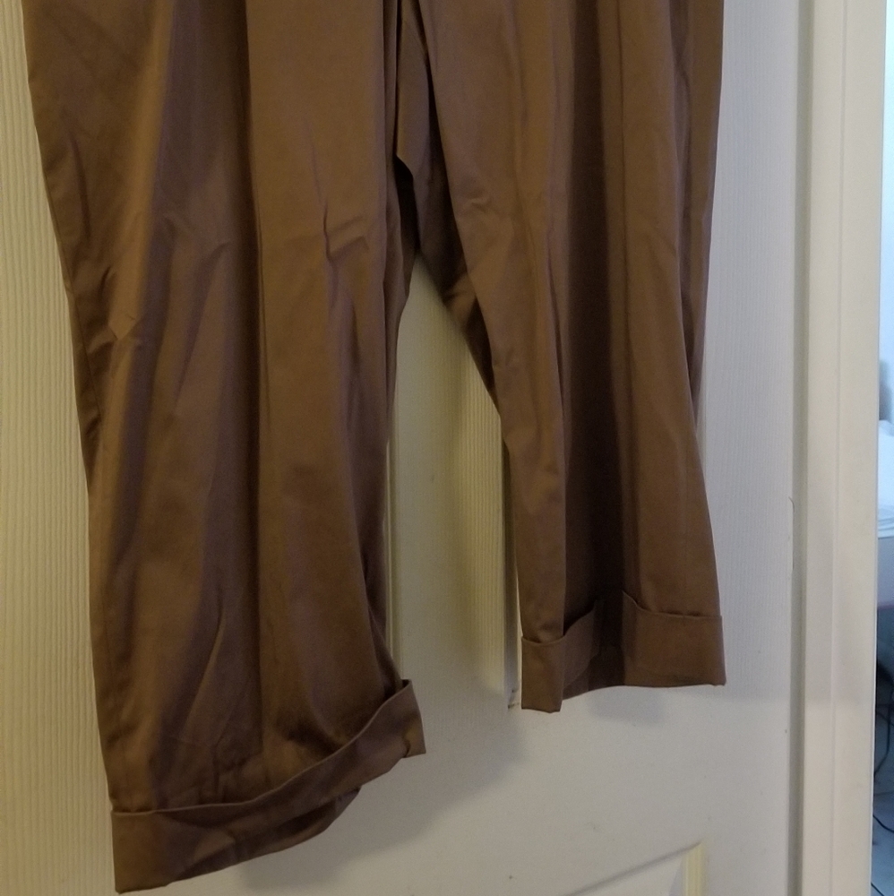 Capri Pants - Picture 2 of 2
